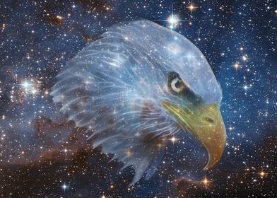 Eagle in the cosmos