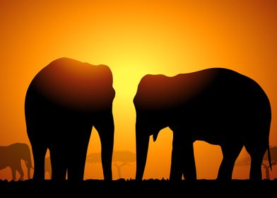 Two Elephants at Sunset