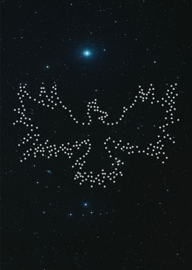 Phoenix Constellation