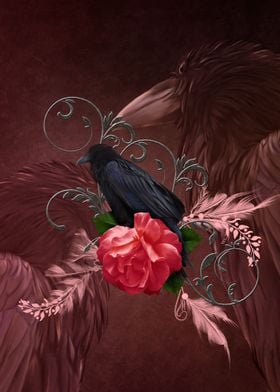 Beautiful crow