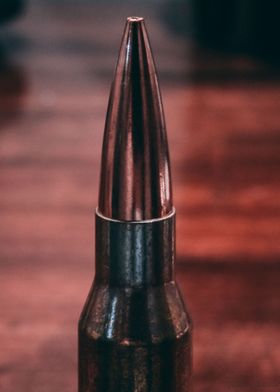 Bullet Tip of a 762