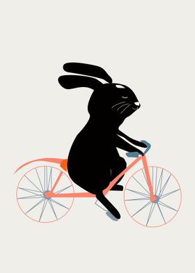 Rabbit bicycle