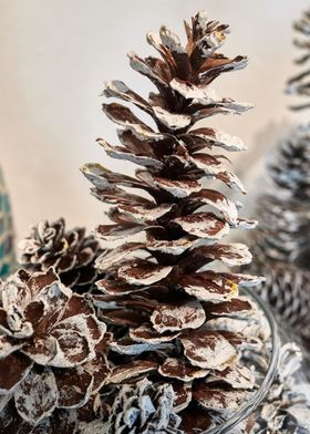 Pinecone Christmas deco