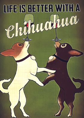 Chihuahua