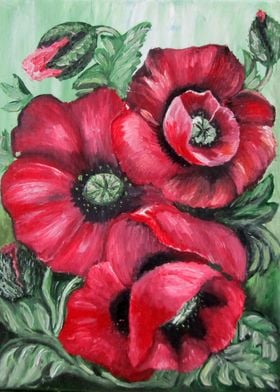 coquelicot