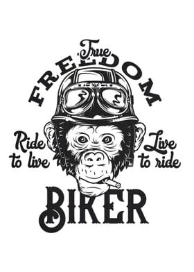 Freedom Biker