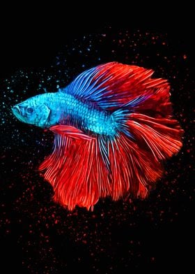 Beauty Betta Fish Pattern