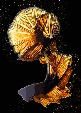 Betta Fish Abstract