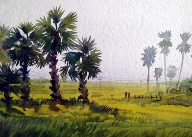 Rural Palm Trees 