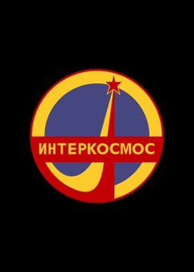 Interkosmos Soviet Union 