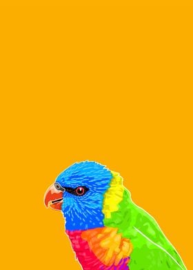 Rainbow Lorikeet