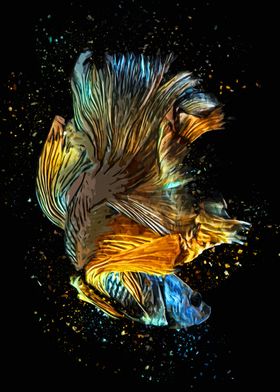 Charming Golden Betta Fish