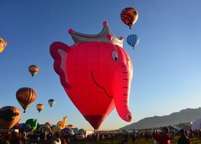 Pink Elephant balloon