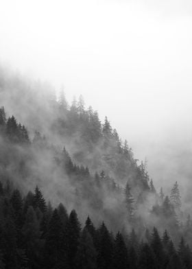 Mountain Mist 2