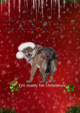 Im ready for christmas