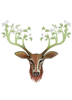 The Spring Deer