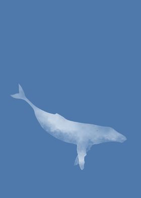 The Deep Blue Whale