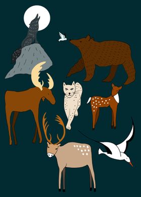 Animals of Norway 