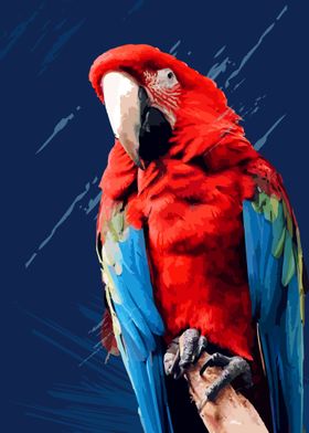 Red Parrots 
