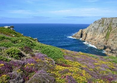 Heather Cliffs Lands End