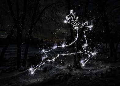 sparkle reindeer