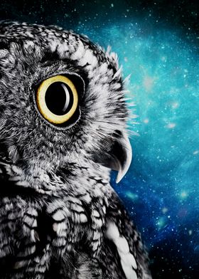 Owl Galaxy