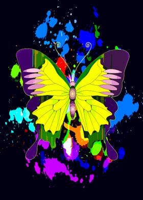 Colorful Butterfly