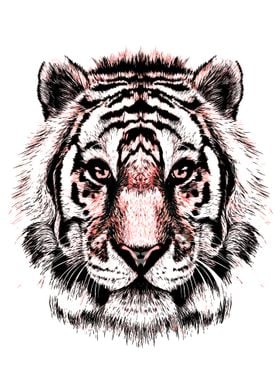 Grayscale Tiger