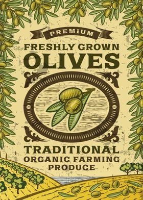 Olive retro poster