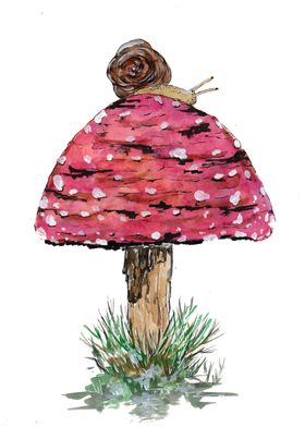 Fly Agaric and Snail