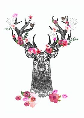 CUTE STAG 