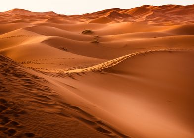 Desert Sands