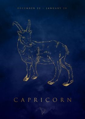 Capricorn