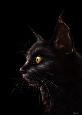 Black Cat V2