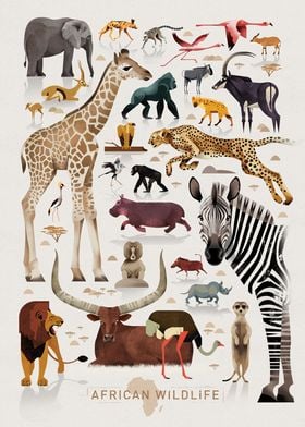 African wildlife
