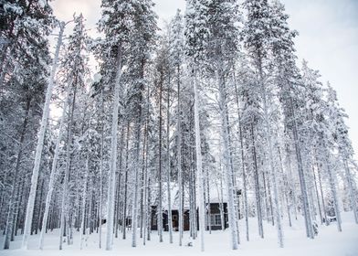 Lapland Finland