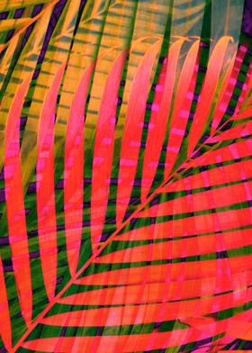 COLORFUL TROPICAL LEAVES4D