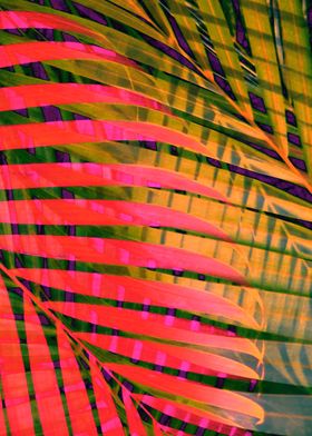 COLORFUL TROPICAL LEAVES4C
