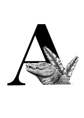 A is for Alligator