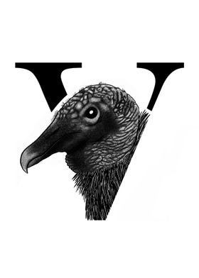 V is for Vulture