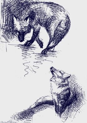 Fox and fox