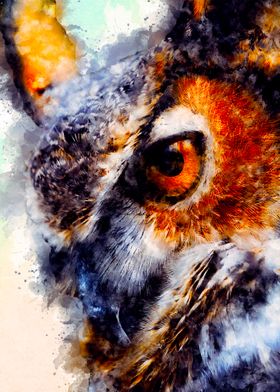 Owl Bird Watercolor