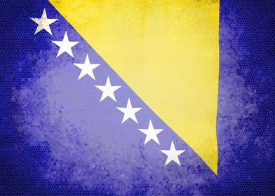 Bosnia vintage flag