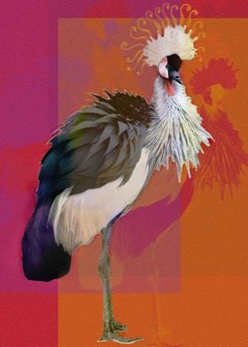 crowned crane red tone