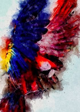 Parrot Bird Watercolor