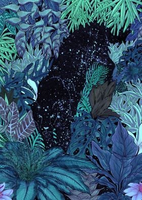 The Jungle at Night