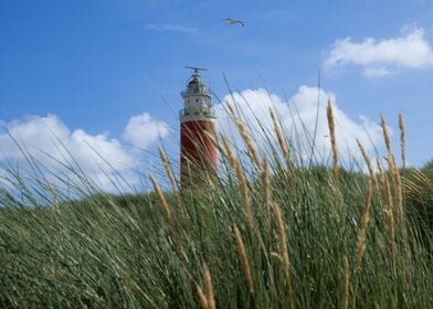 Texel Lighthouse 