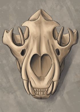 Lion skull front vieuw