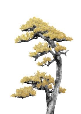 Minimal  Bonsai 04