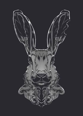 Hare